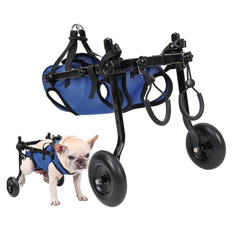 Amazon.com: Dog Wheelchair Pet Walking Disabled Car Elderly